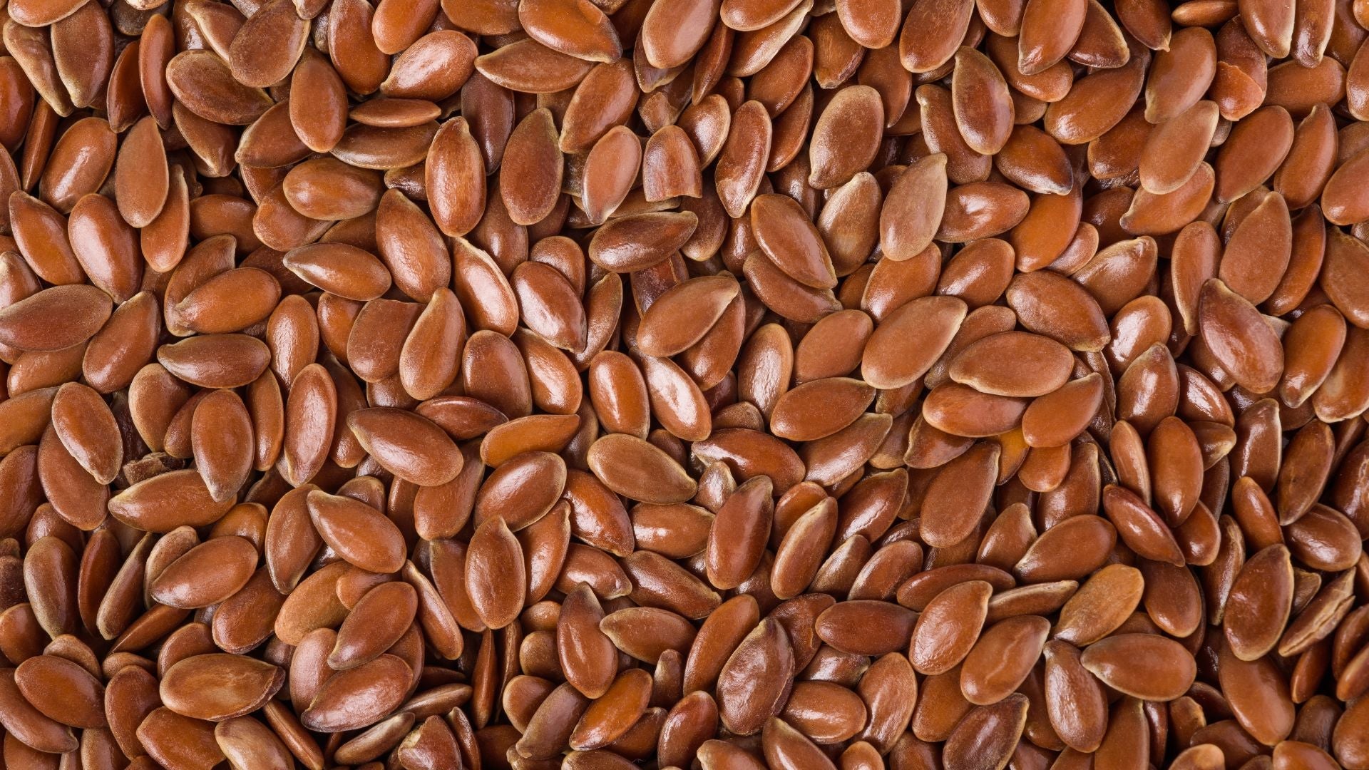 Lijnzaad voor Honden: Natuurlijke Vezels voor een Gezonde Spijsvertering