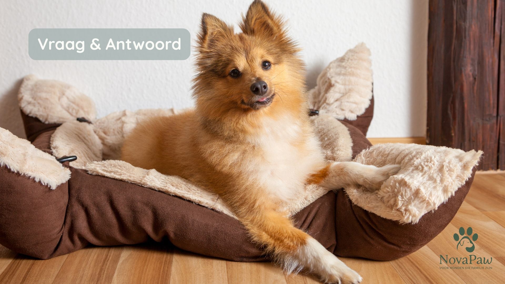 Wat is het verschil tussen glucosamine, chondroïtine en collageen?