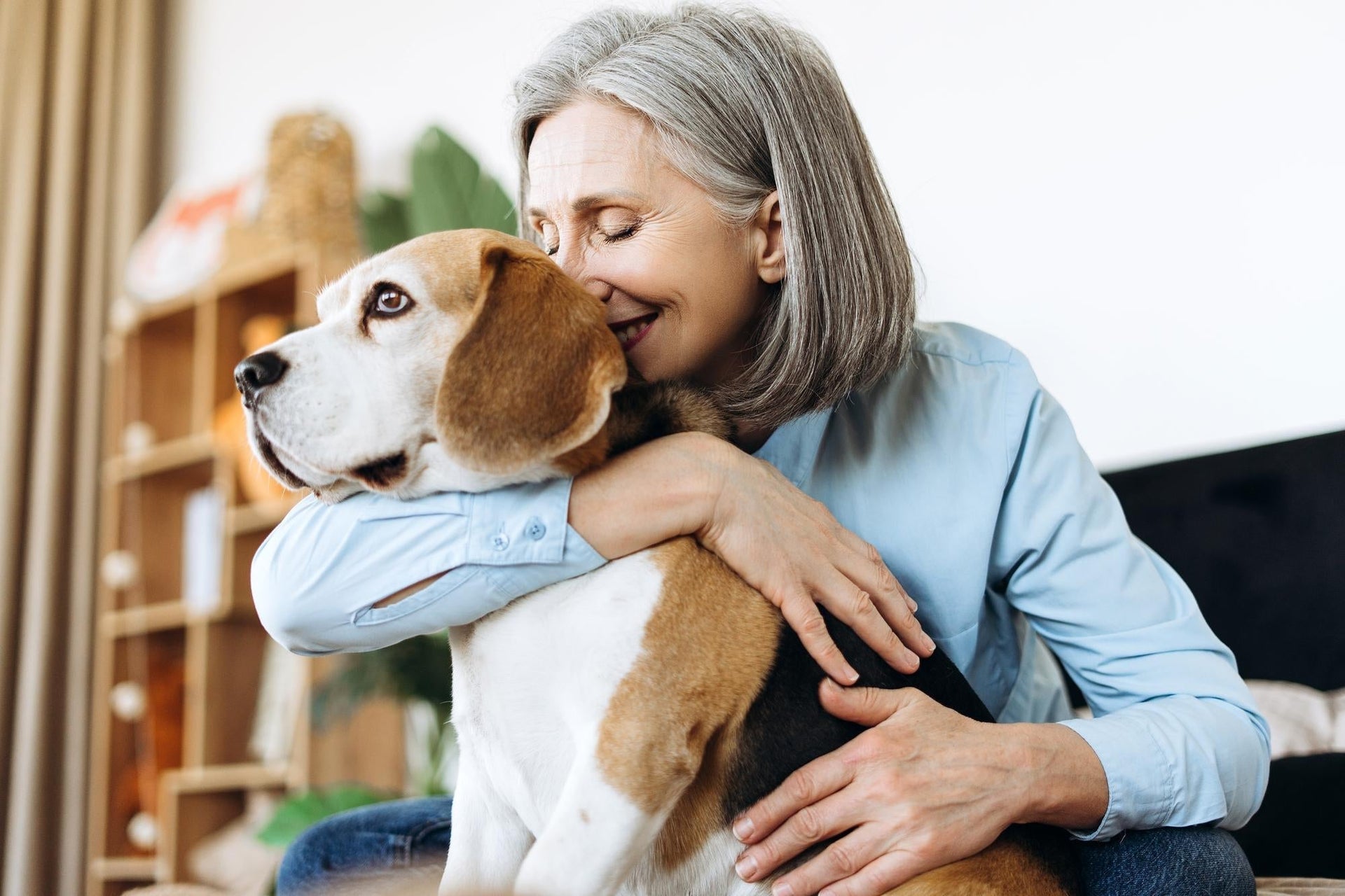 Veelvoorkomende oorzaken van stijfheid bij honden