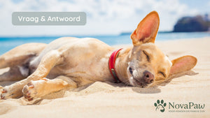 Zijn natuurlijke ingrediënten altijd beter? Een eerlijk antwoord