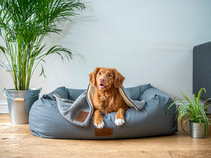 De Ultieme Gids Voor Vachtverzorging Van Je Hond