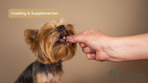 Waarom wij voor zachte snacks kozen