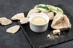 Groenlipmossel voor honden: natuurlijke steun voor soepele gewrichten en actief leven