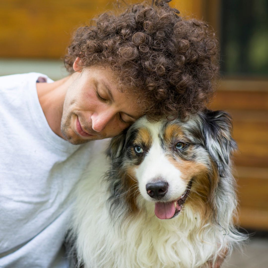 Senior hond met artrose wordt liefdevol geaaid door baasje – ondersteuning bij gewrichtsproblemen met NovaPaw Beweeg Comfort.