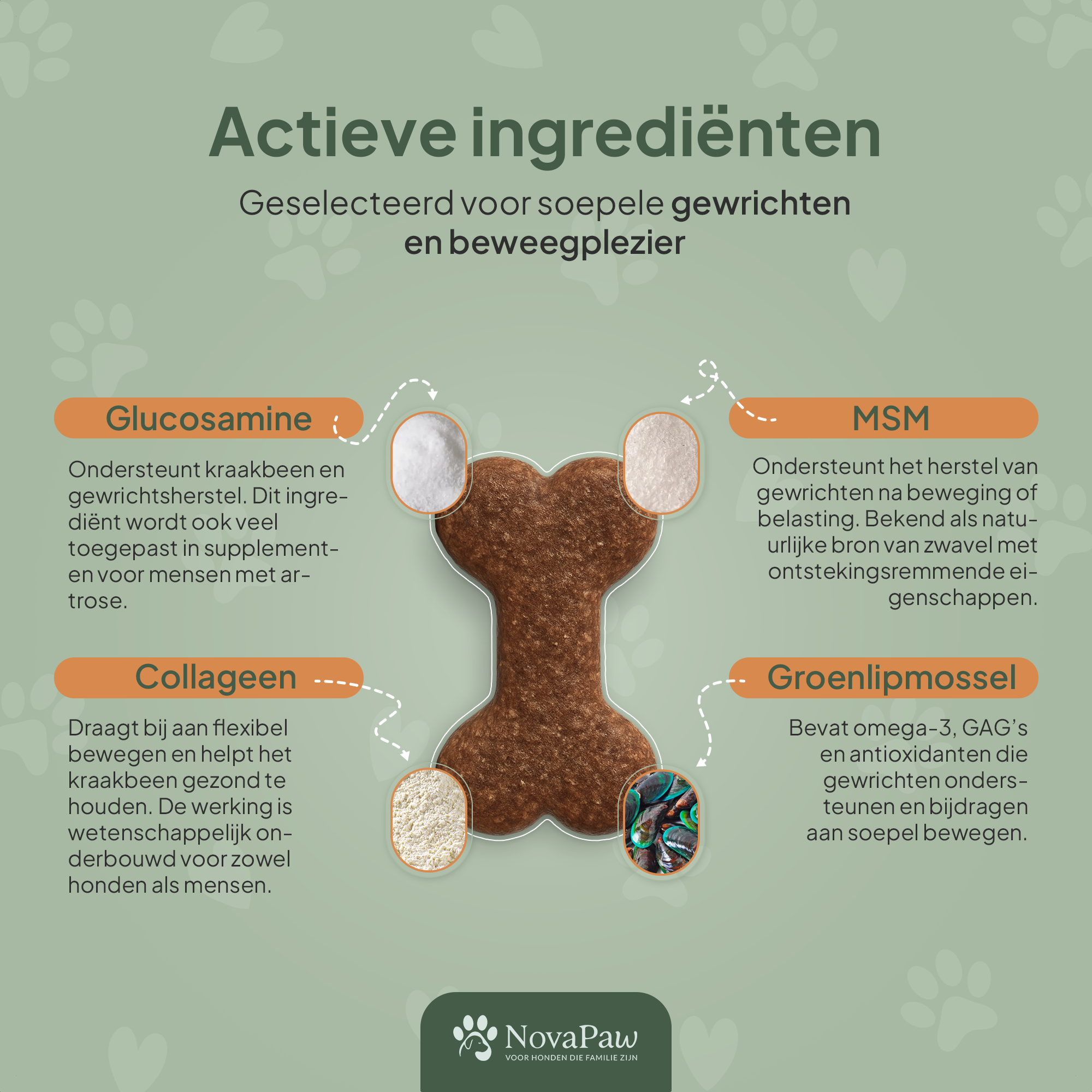 Uitleg van actieve ingrediënten in NovaPaw Beweeg Comfort hondensupplement – glucosamine, collageen, MSM en groenlipmossel voor soepele gewrichten.