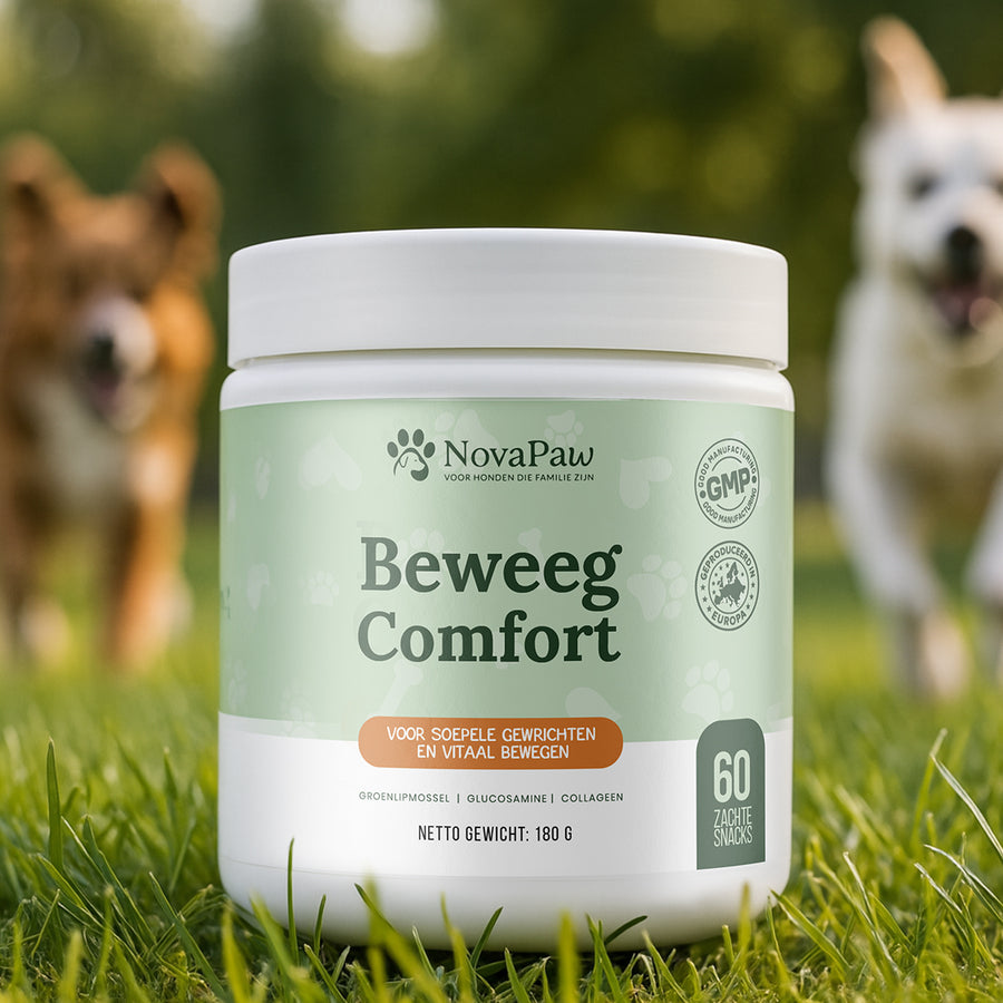Pot NovaPaw Beweeg Comfort op grasveld met spelende honden op de achtergrond
