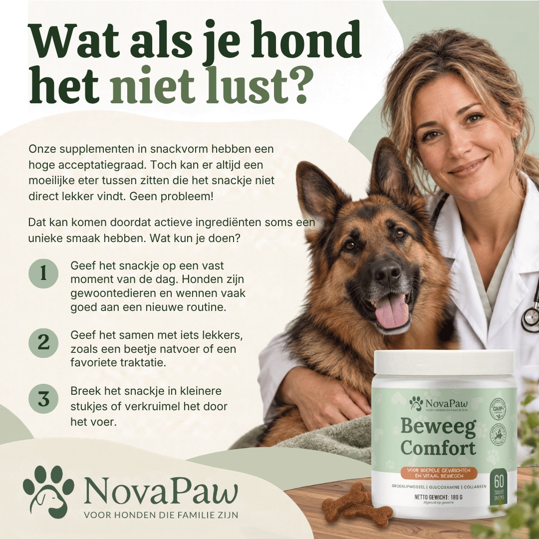 Dierenarts met Duitse herder en NovaPaw Beweeg Comfort, met drie tips als je hond de snack niet lust
