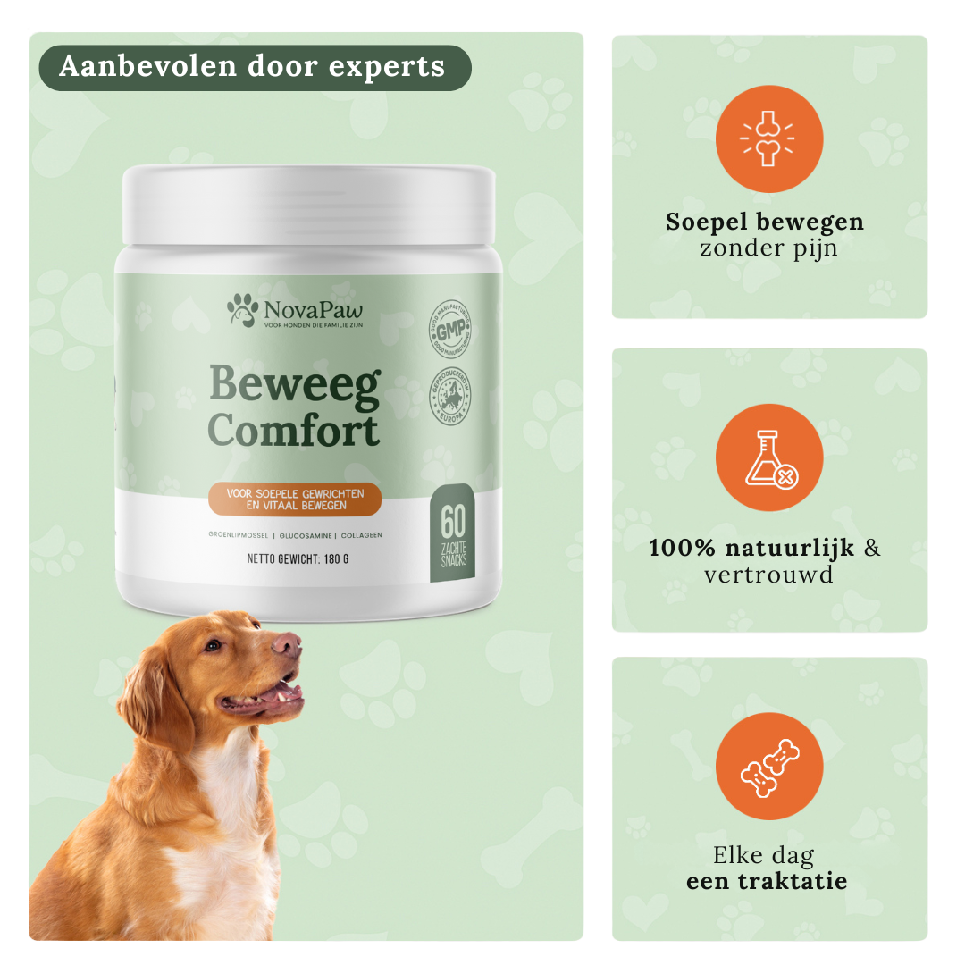 NovaPaw Beweeg Comfort met hond: soepel bewegen, 100% natuurlijk en elke dag een traktatie voor gewrichten