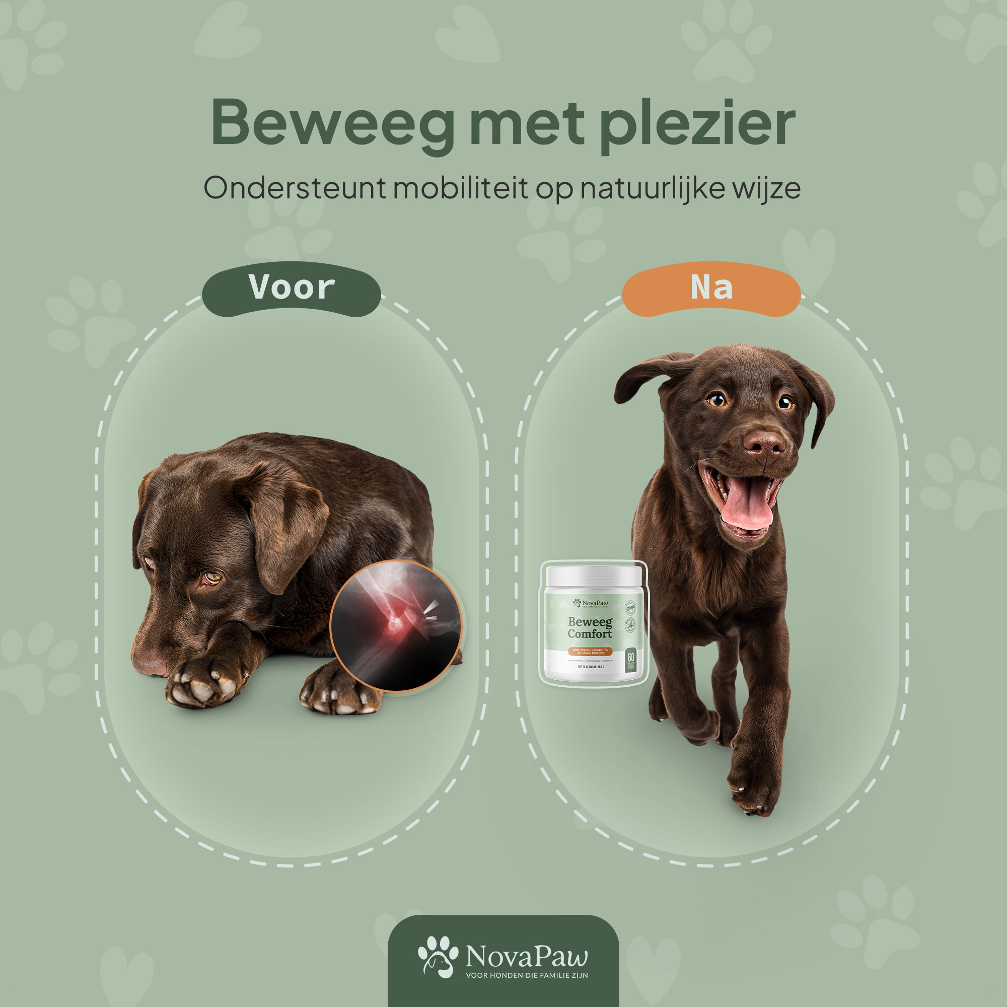 Voor- en na-afbeelding van hond met NovaPaw Beweeg Comfort – van pijnlijke gewrichten naar vrolijk en actief bewegen.