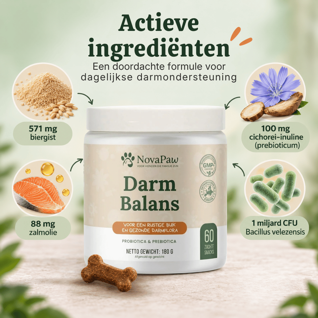 Ingrediënten NovaPaw Darm Balans: biergist, zalmolie, cichorei-inuline en 1 miljard CFU Bacillus velezensis