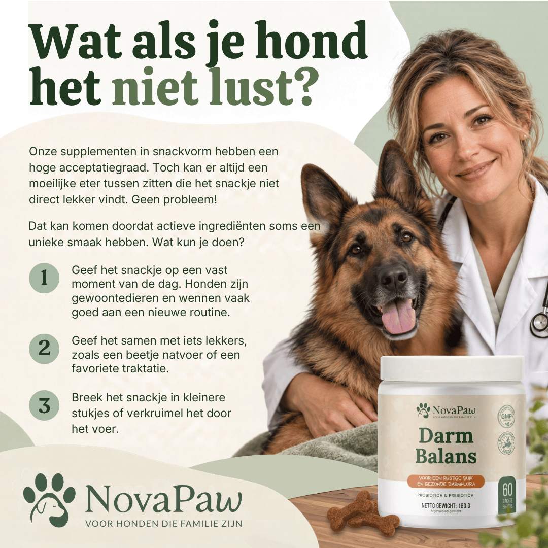 Dierenarts met Duitse herder en NovaPaw Darm Balans, met drie tips als je hond de snack niet lust
