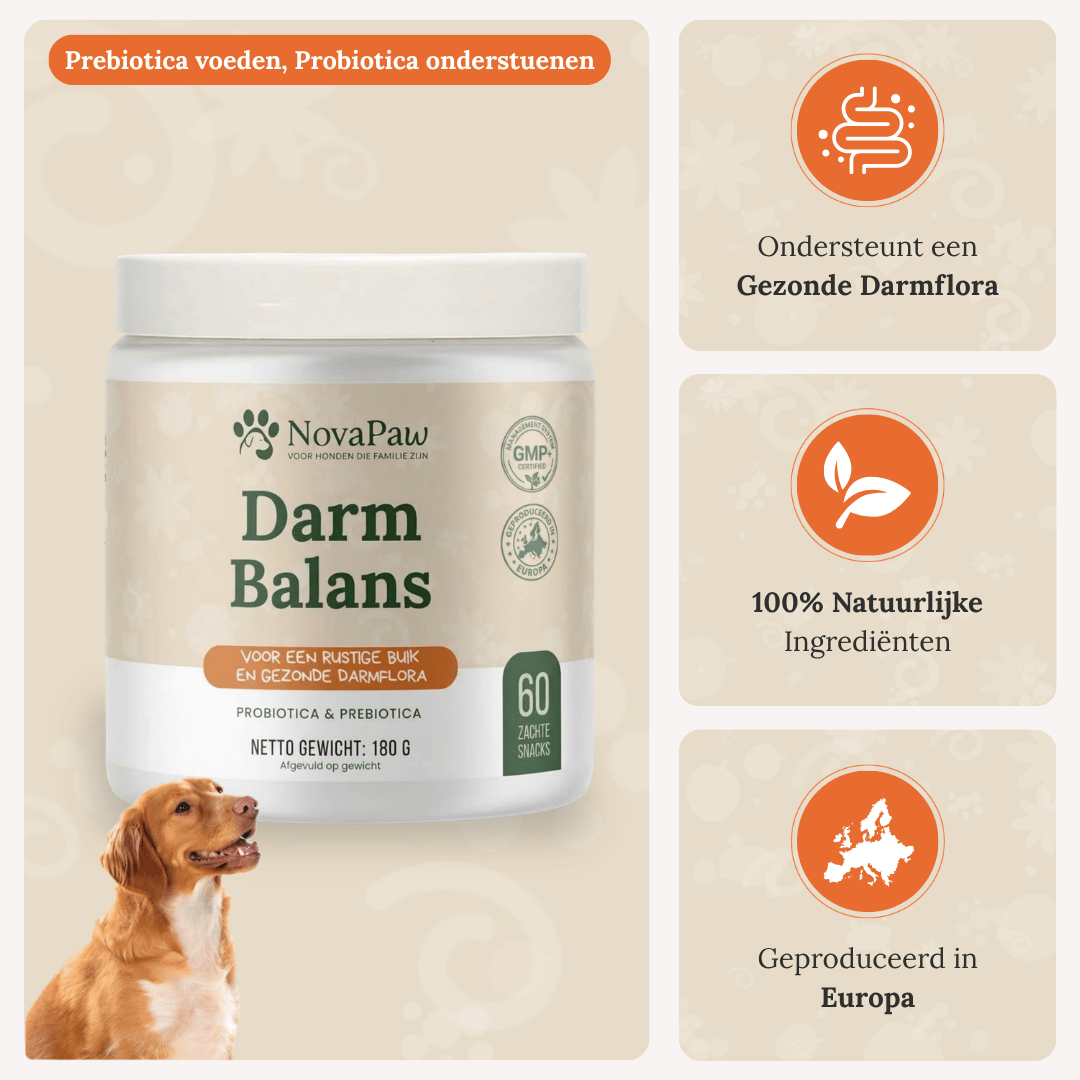 NovaPaw Darm Balans met hond: prebiotica en probiotica, 100% natuurlijke ingrediënten en geproduceerd in Europa