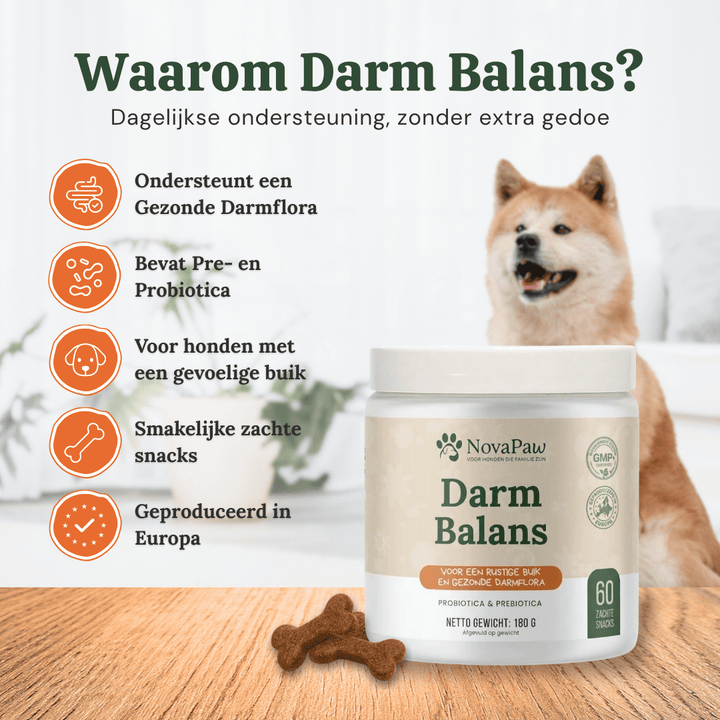 Akita naast NovaPaw Darm Balans: pre- en probiotica voor een gezonde darmflora en een gevoelige hondenbuik