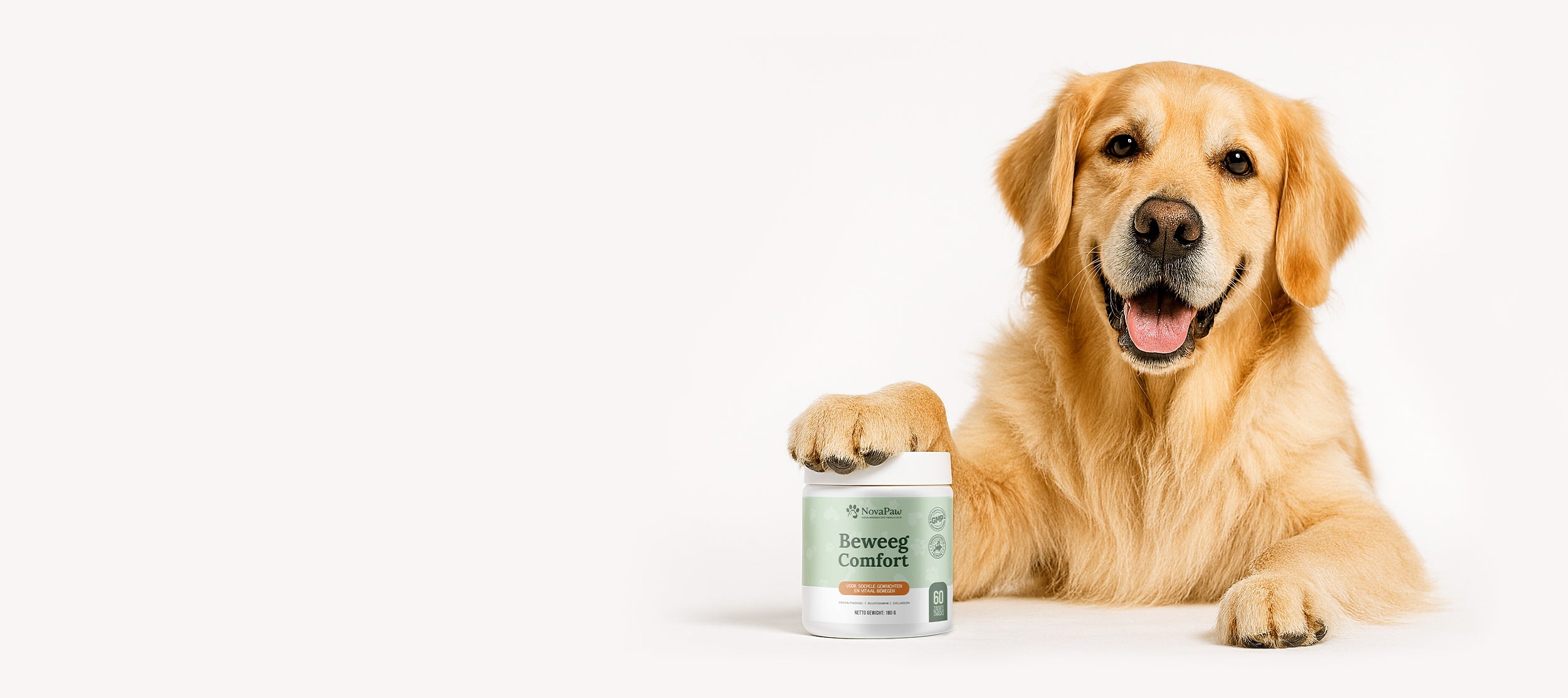 Hond met poot op NovaPaw gezond supplement voor gewrichtsondersteuning