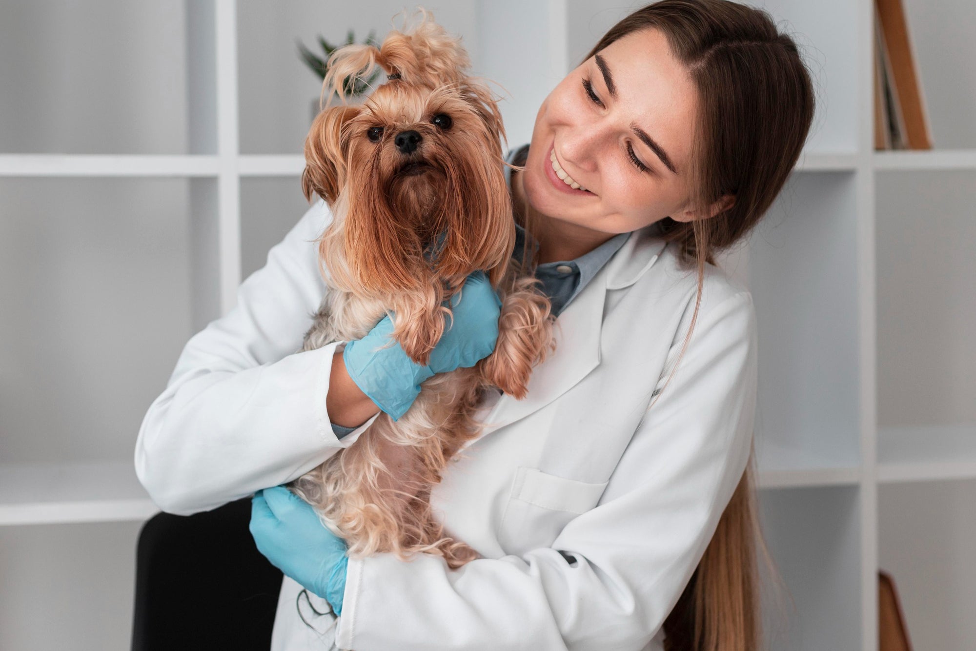 Sanne houdt een hond vast tijdens consult over NovaPaw-supplement voor gewrichten
